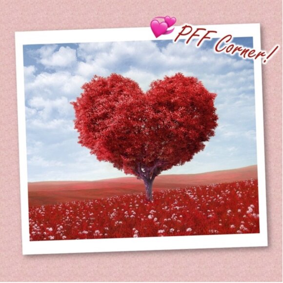 PFF Corner - Picture 1 of 1